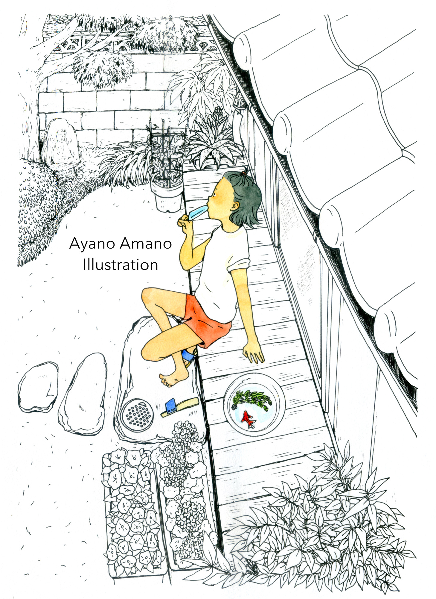 AyanoAmano Illustration